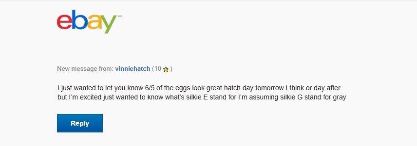 Usa Silkie Hatching Eggs UK