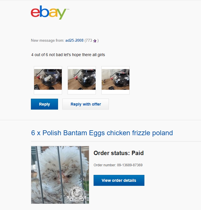 Poland Hatching Eggs UK