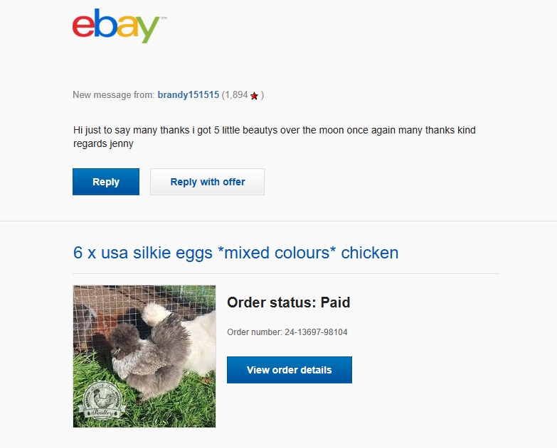 USA silkies Hatching Eggs UK